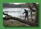 Connemara (231)